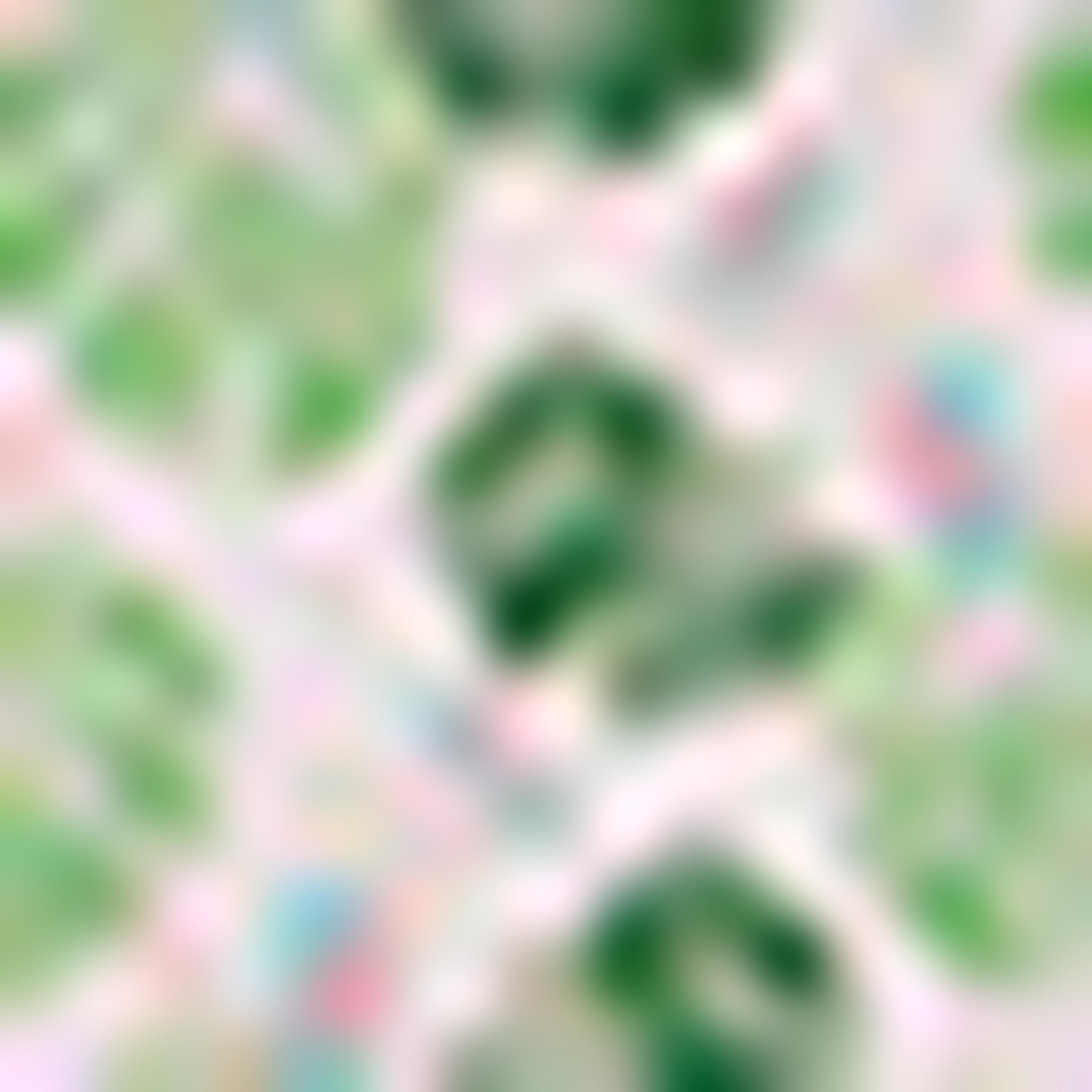 Floral Printed Pouch