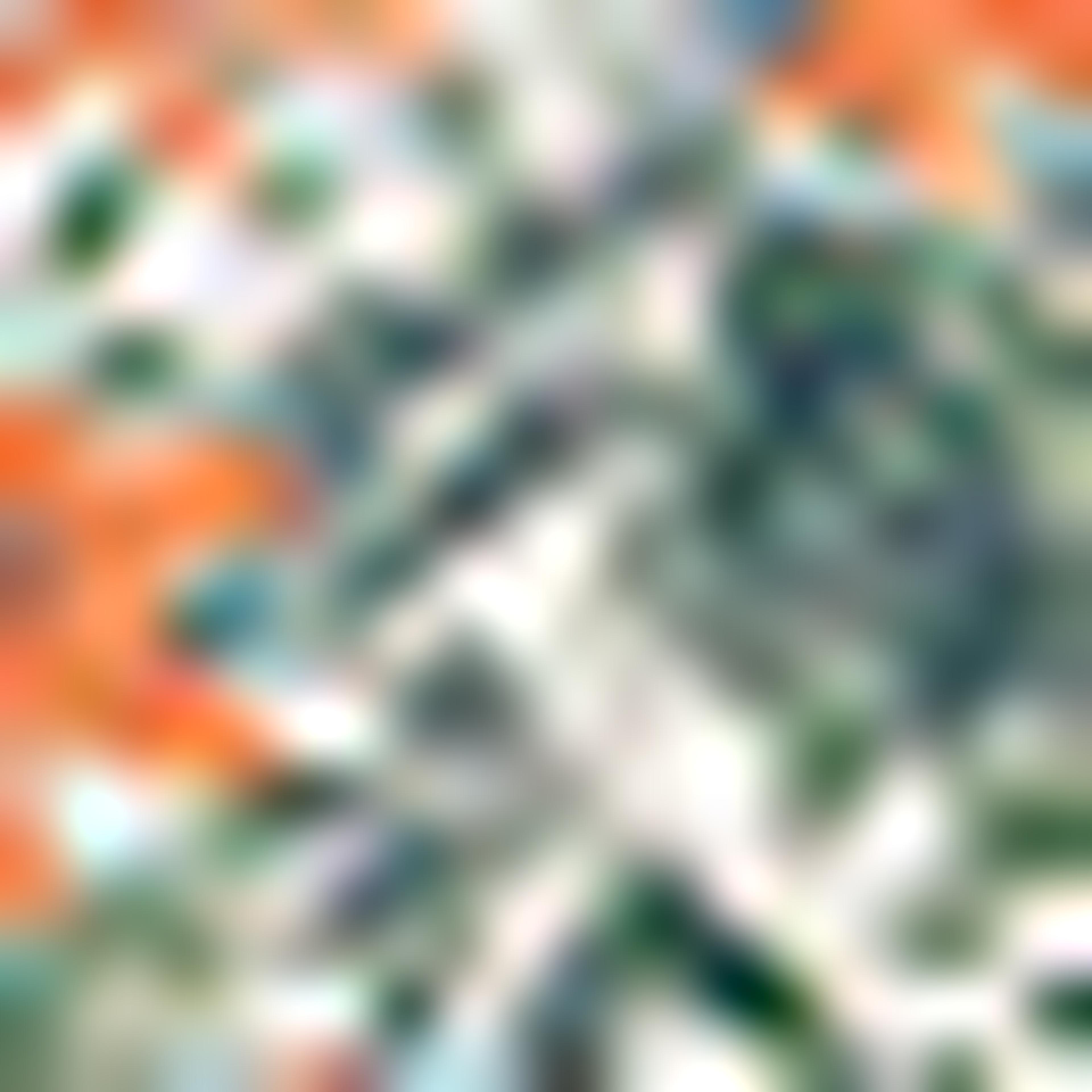 Floral Printed Pouch