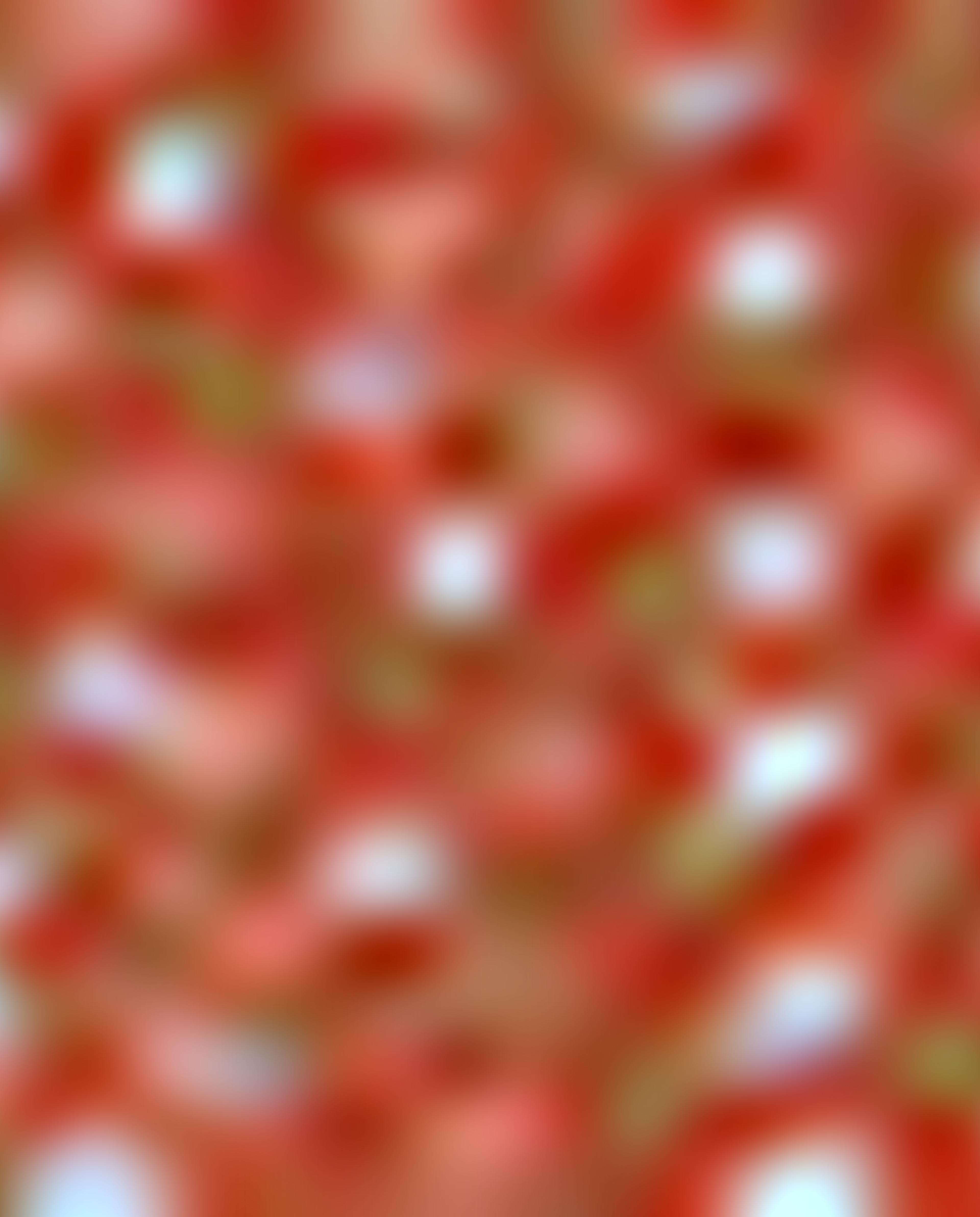 Printed Triangle Head Scarf