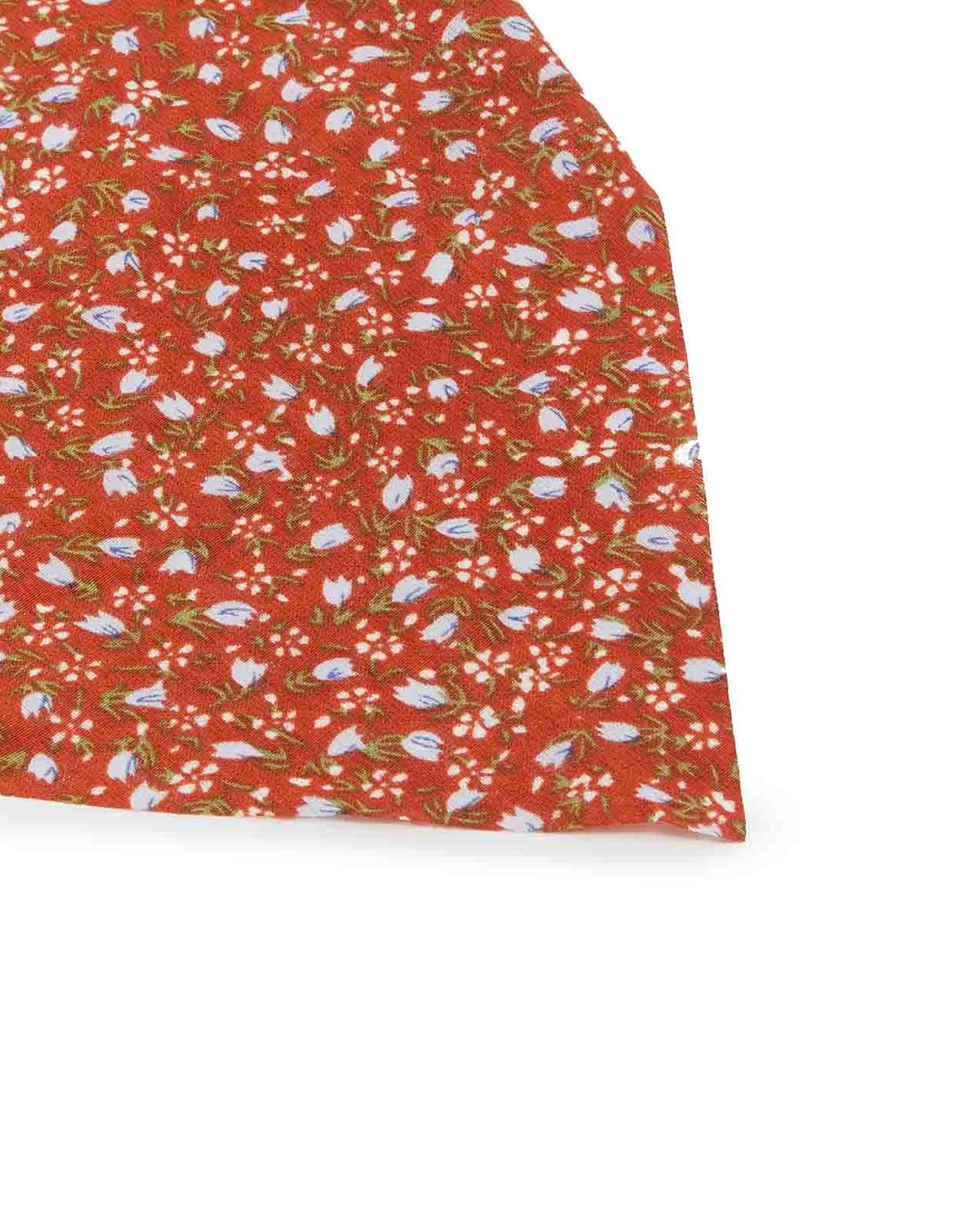 Printed Triangle Head Scarf