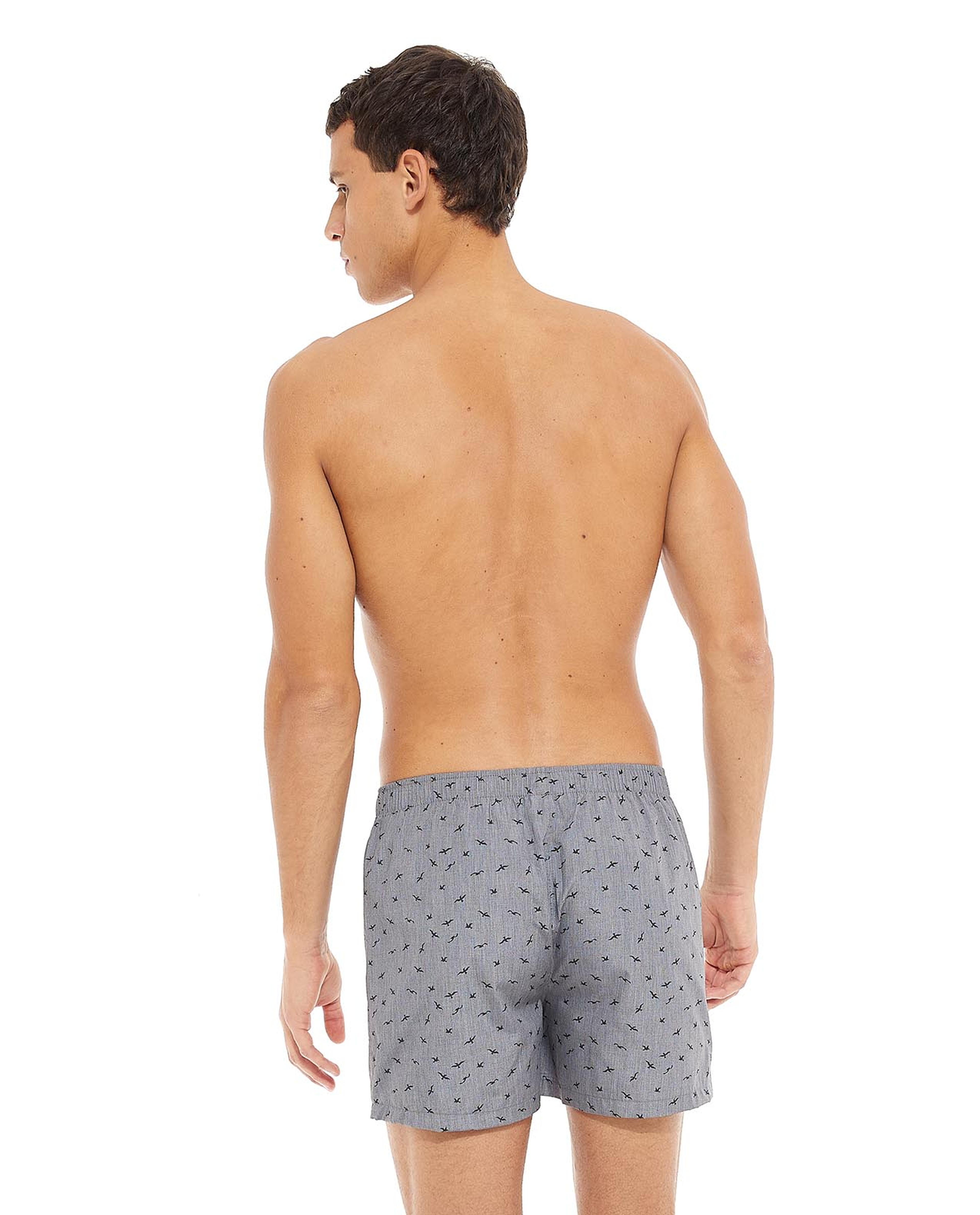Pack of 2 Printed Boxers