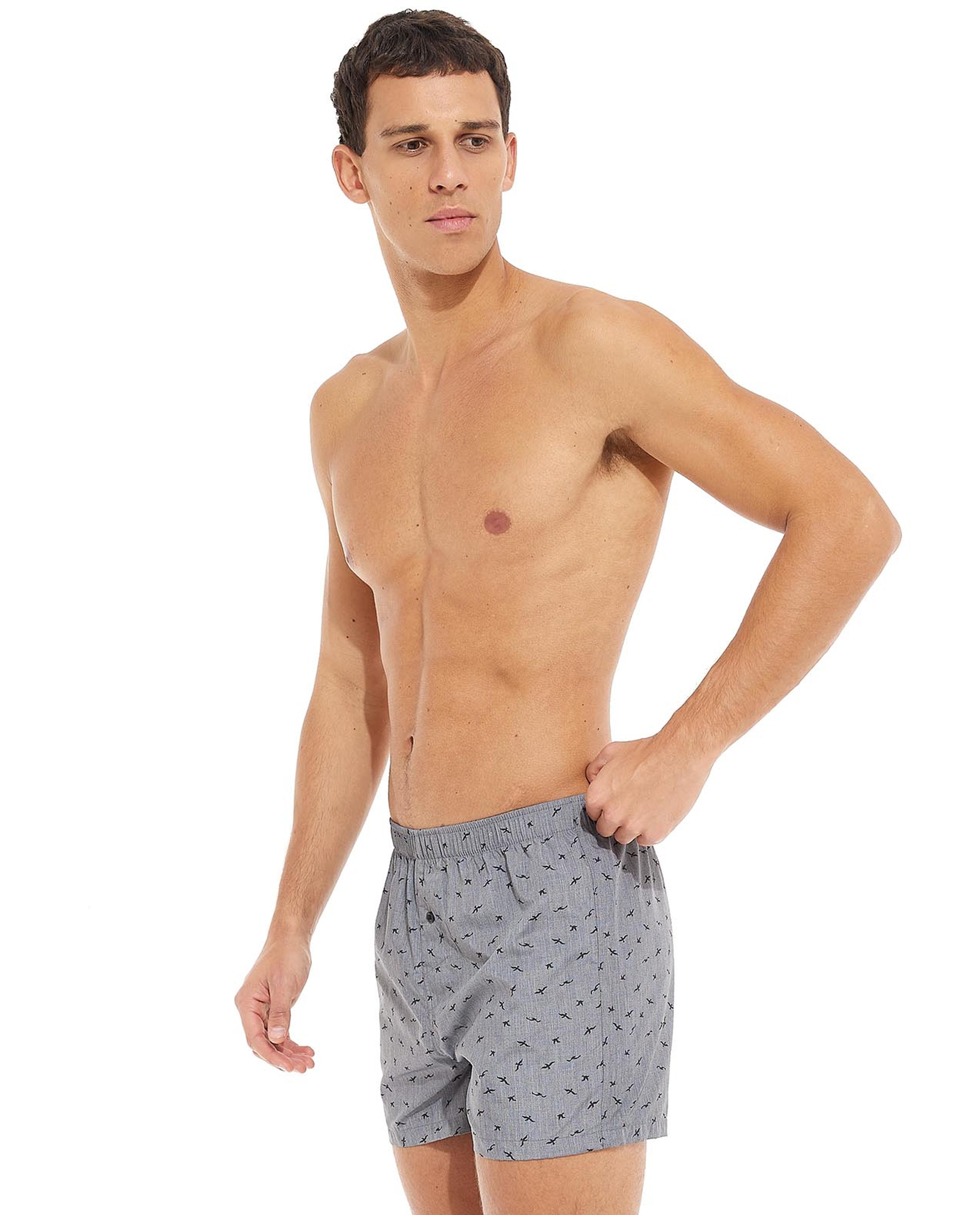 Pack of 2 Printed Boxers