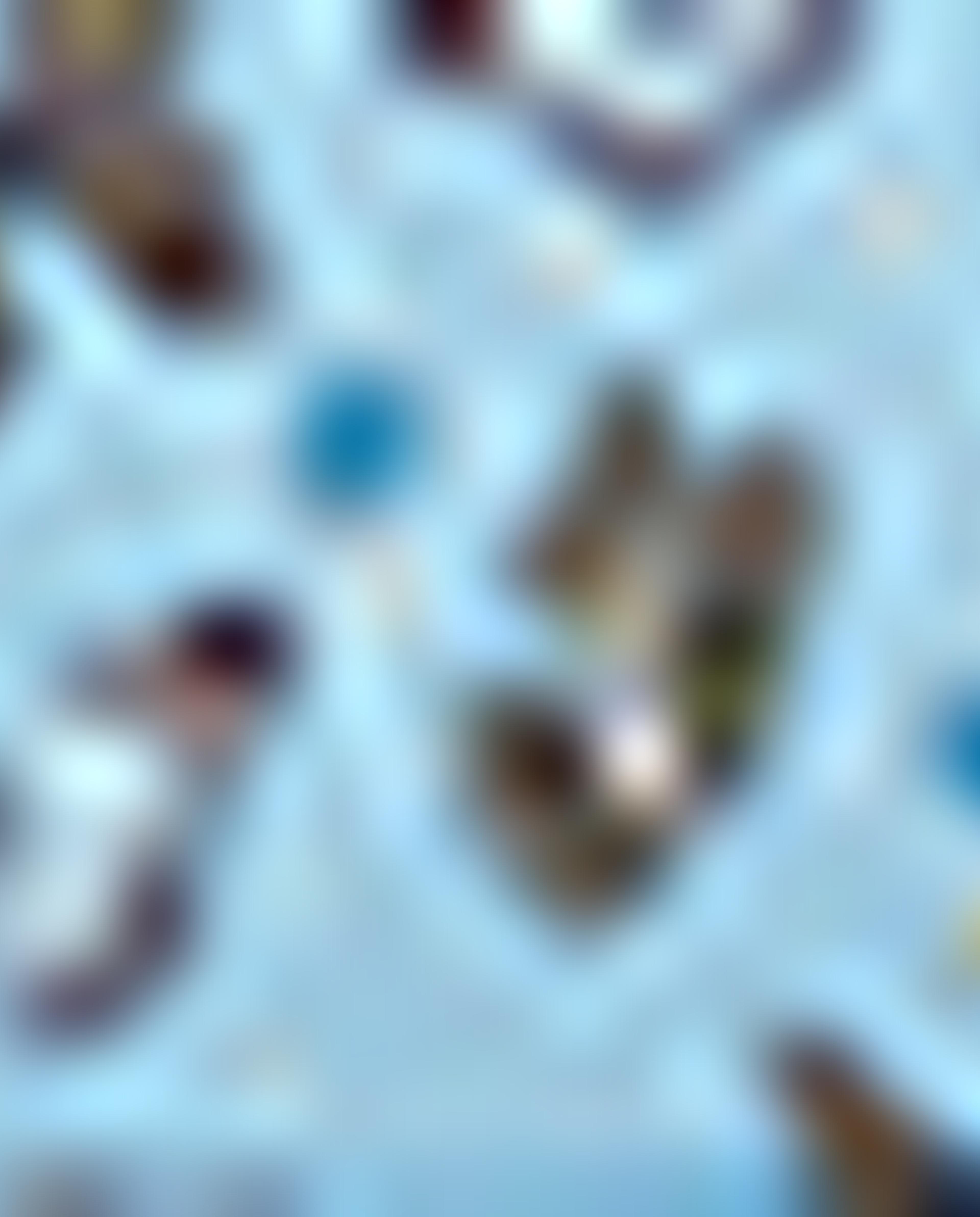 Butterfly Print Cosmetic Pouch
