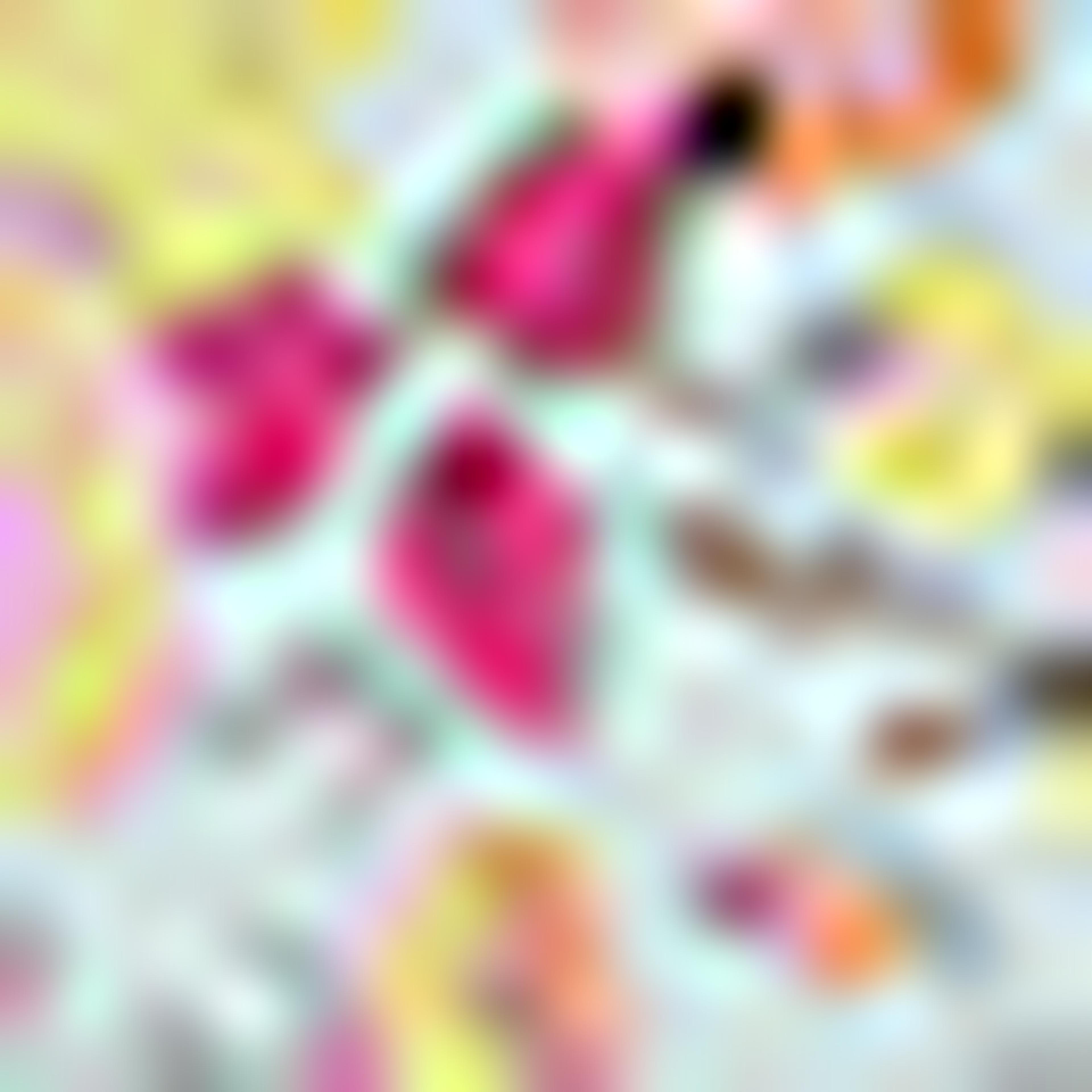 Floral Print Long Wallet