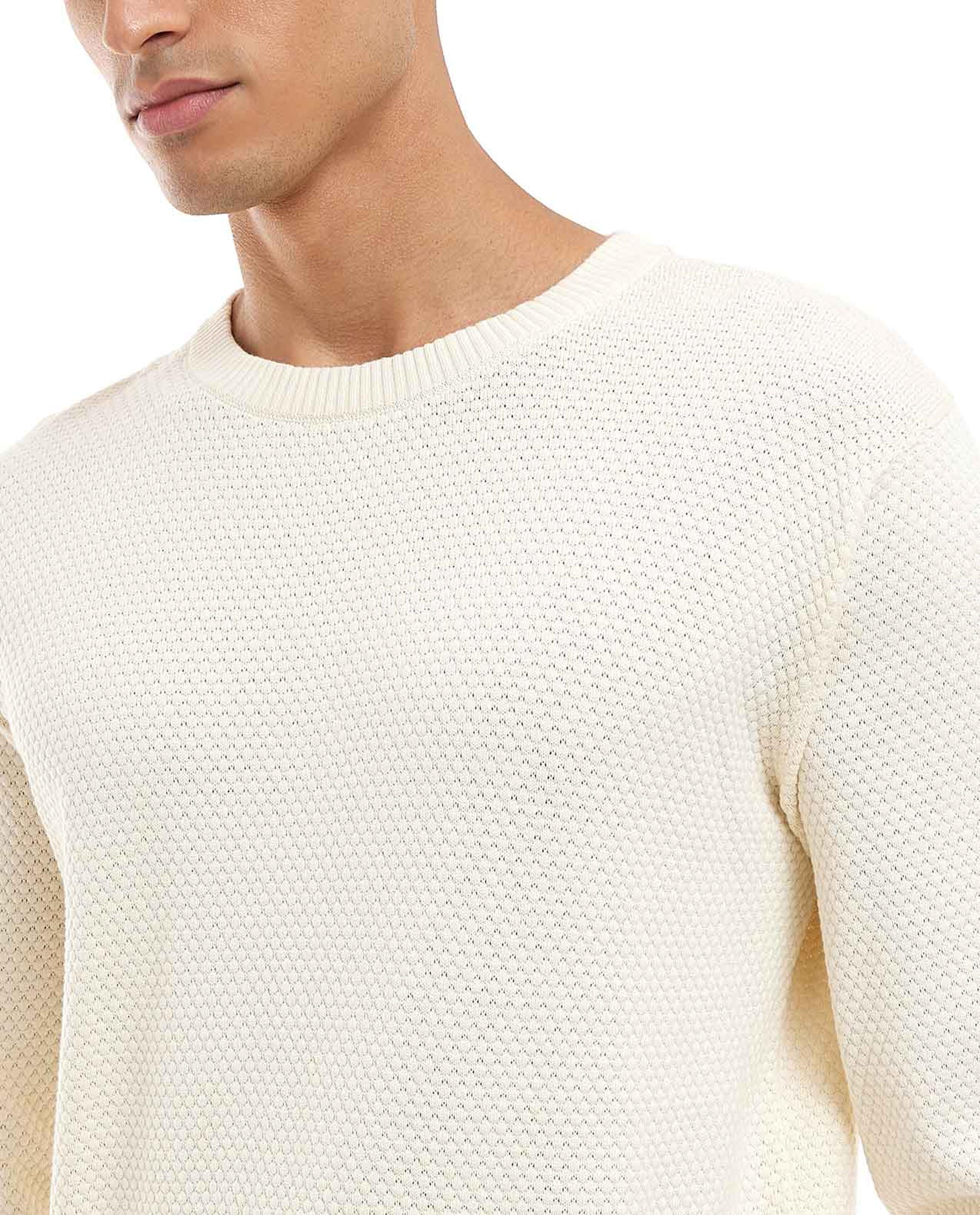 Textured Sweater with Crew Neck and Long Sleeves