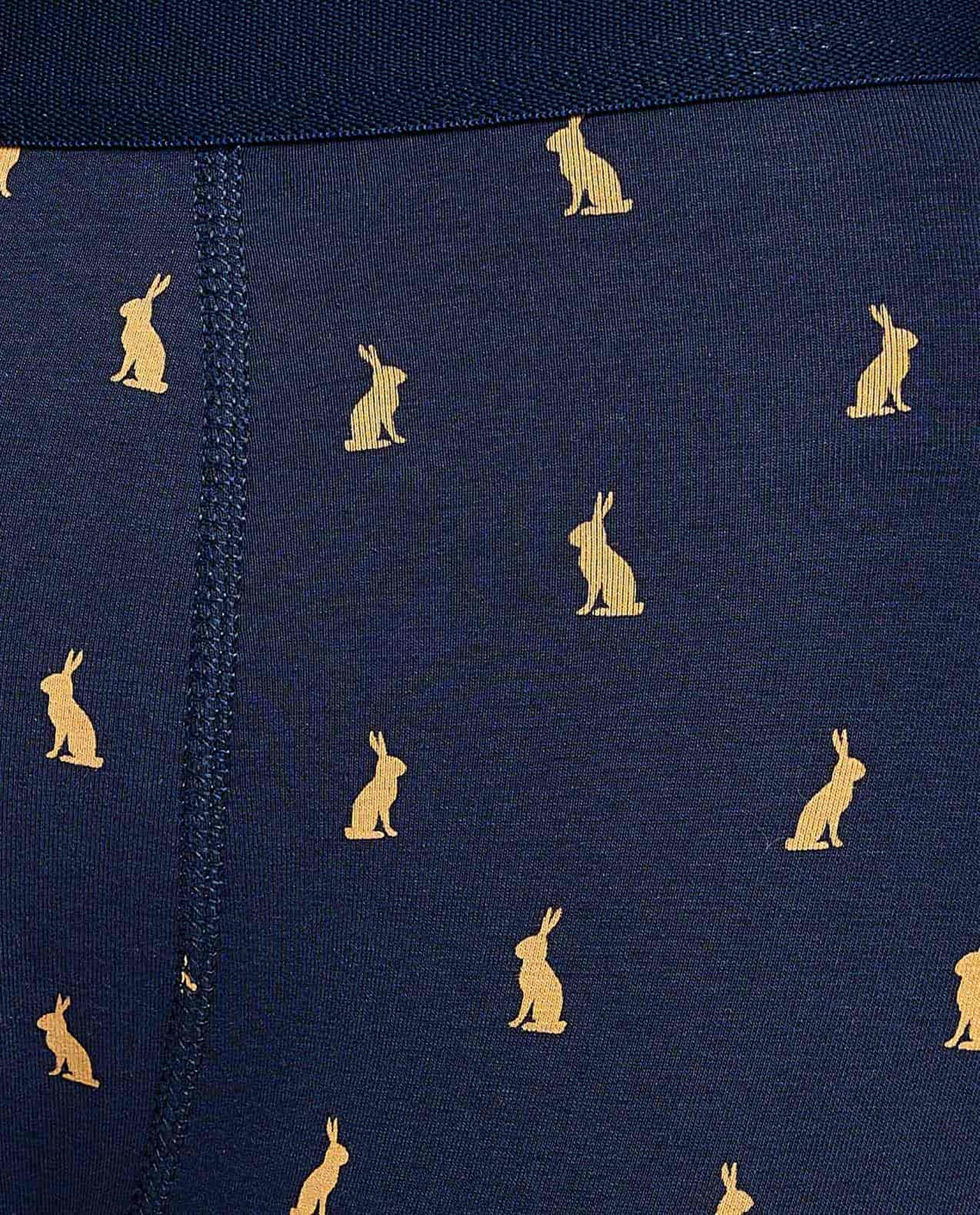 2 Pack Patterned Trunks