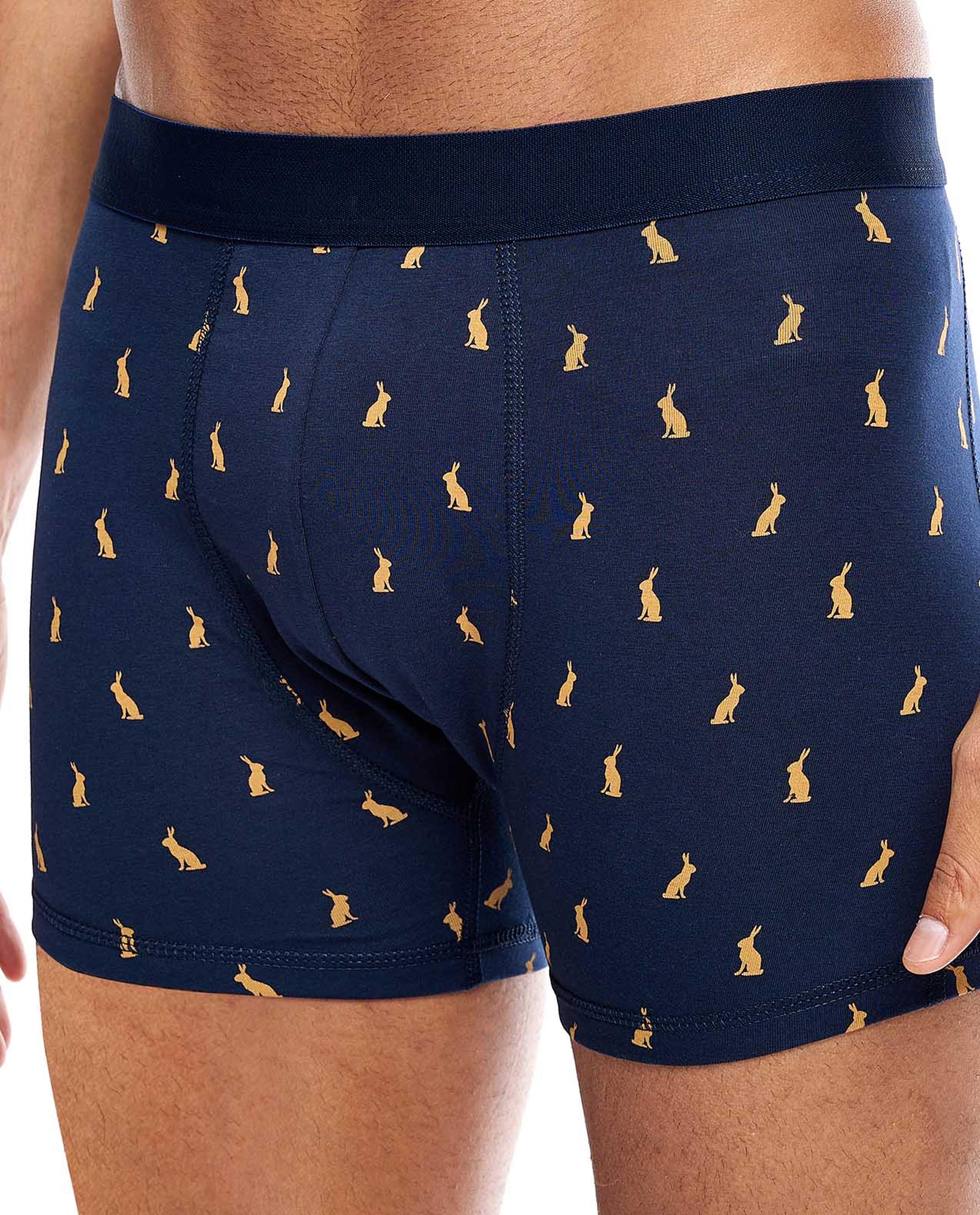 2 Pack Patterned Trunks