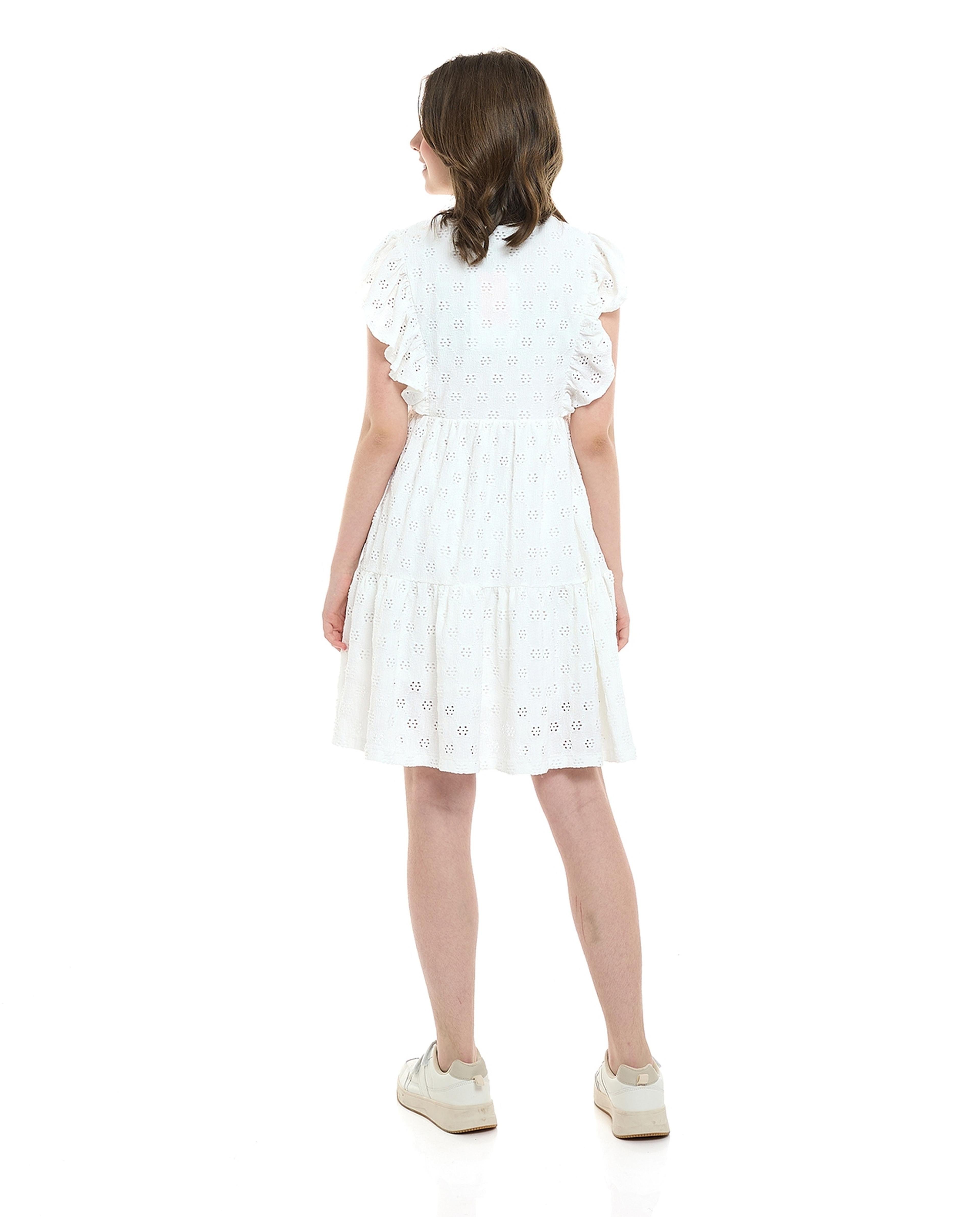 Openwork Tiered Dress with Crew Neck and Flutter Sleeves