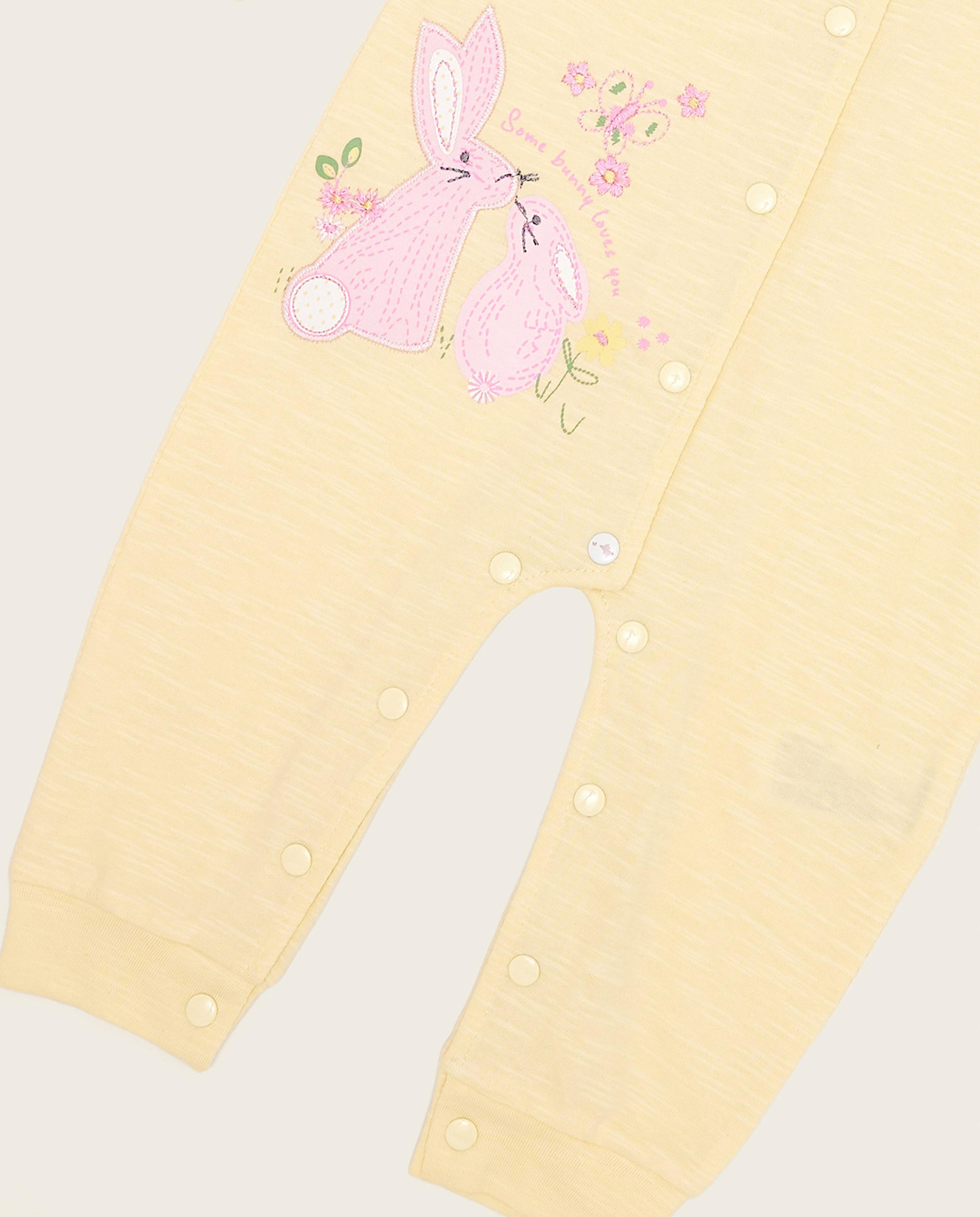 Applique Work Sleepsuit and Baby Collar and 3/4 Sleeves