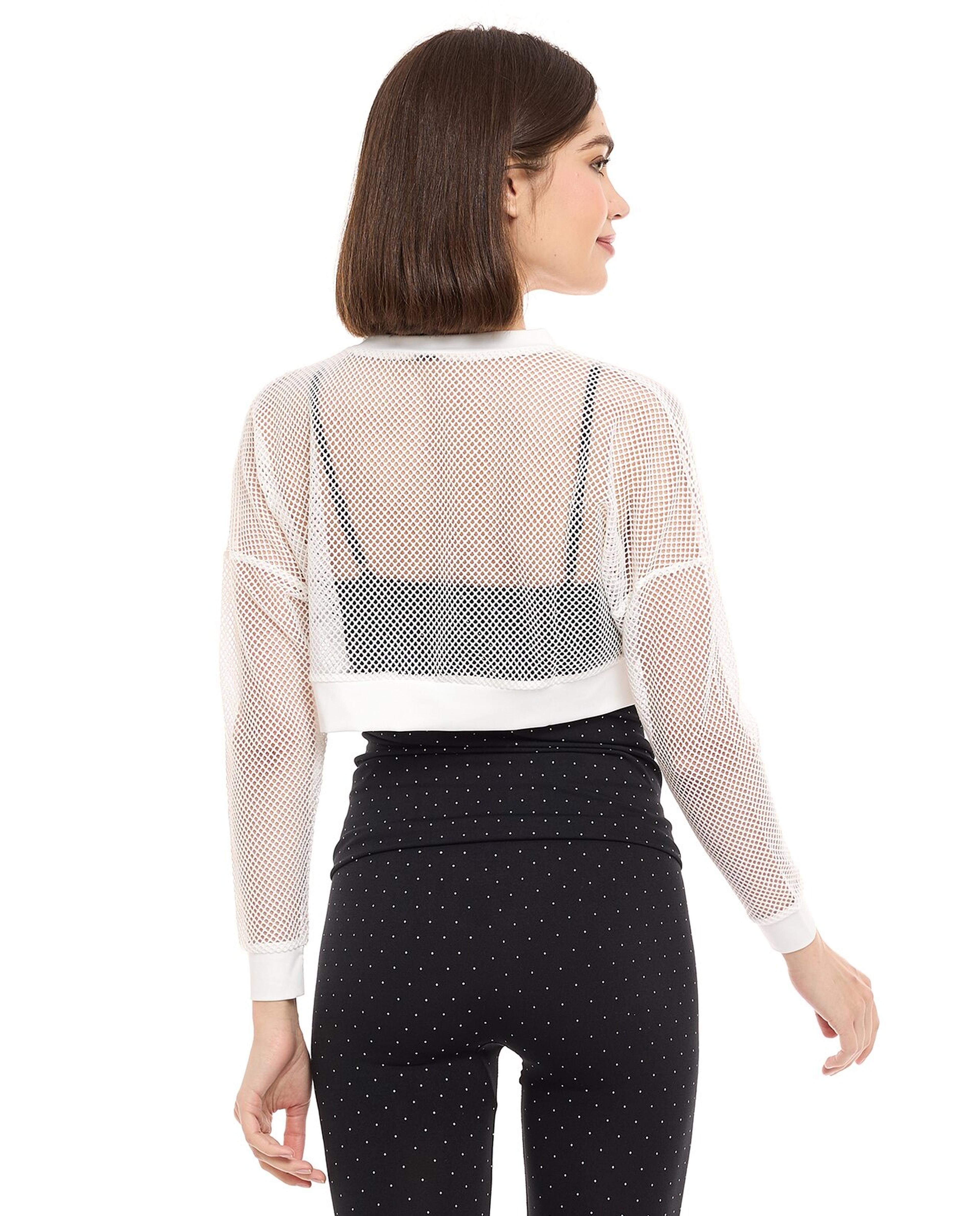 Mesh Crop Top with Crew Neck and Long Sleeves