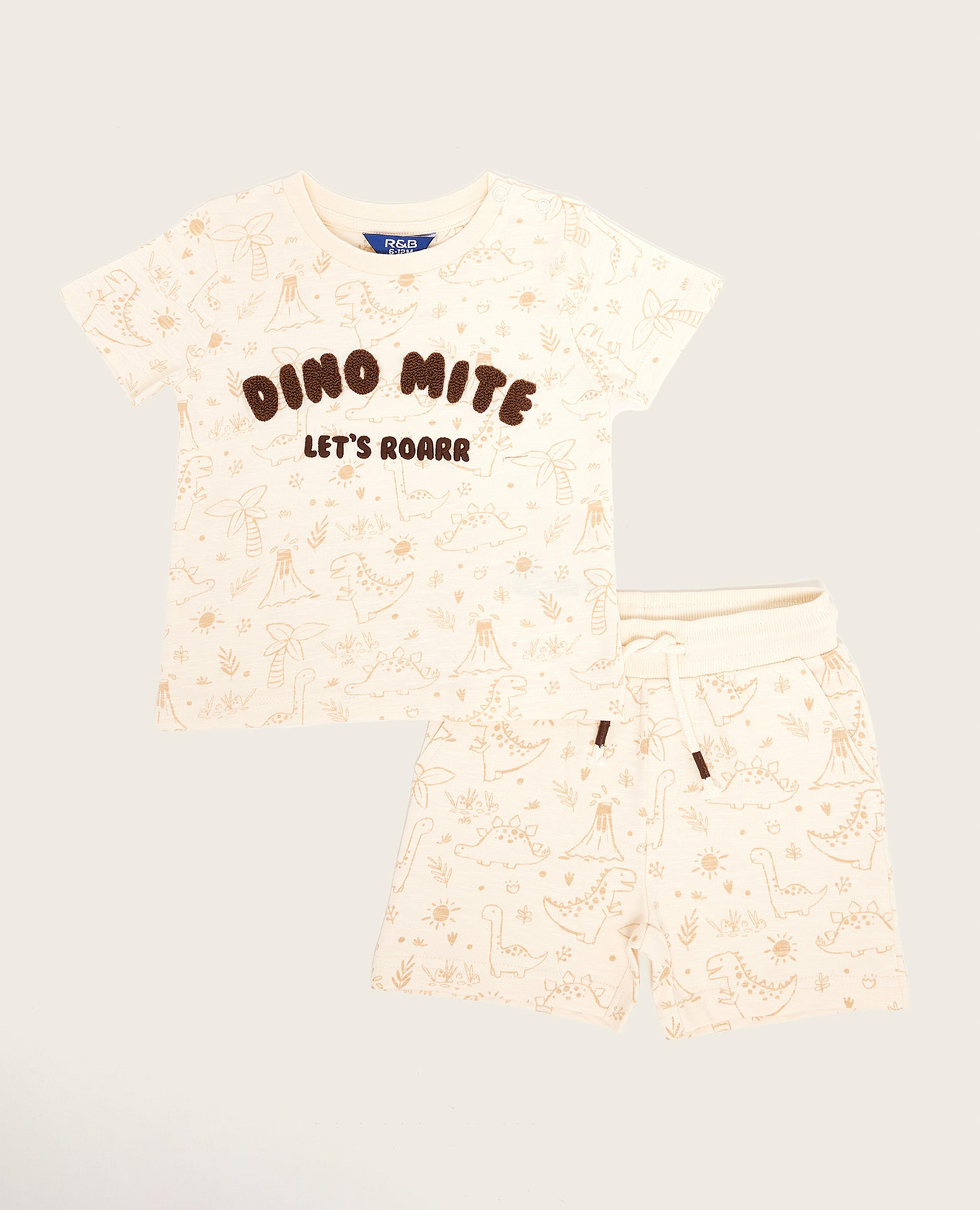Printed T-Shirt and Shorts Set