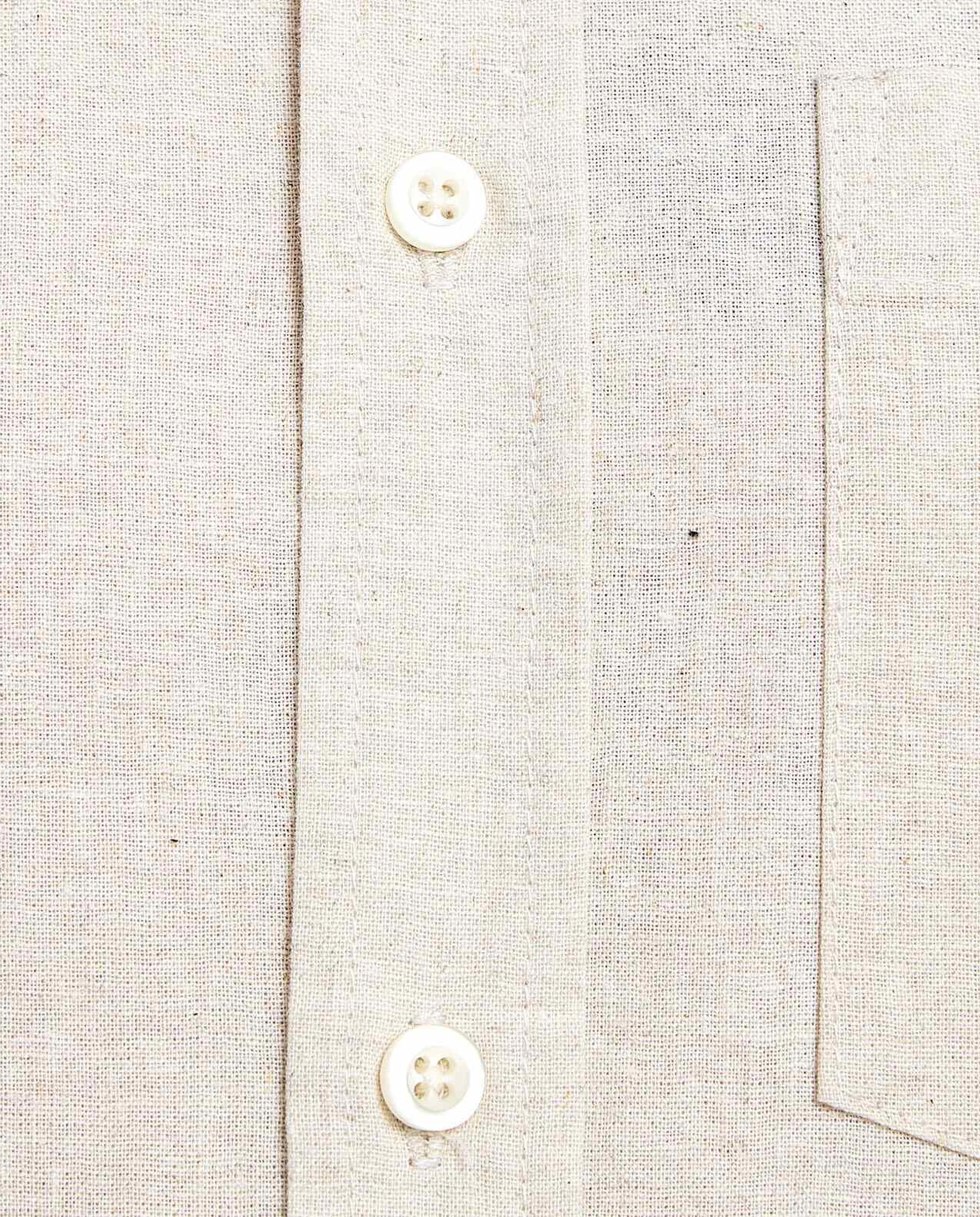 Solid Shirt with Button-Down Collar and Short Sleeves