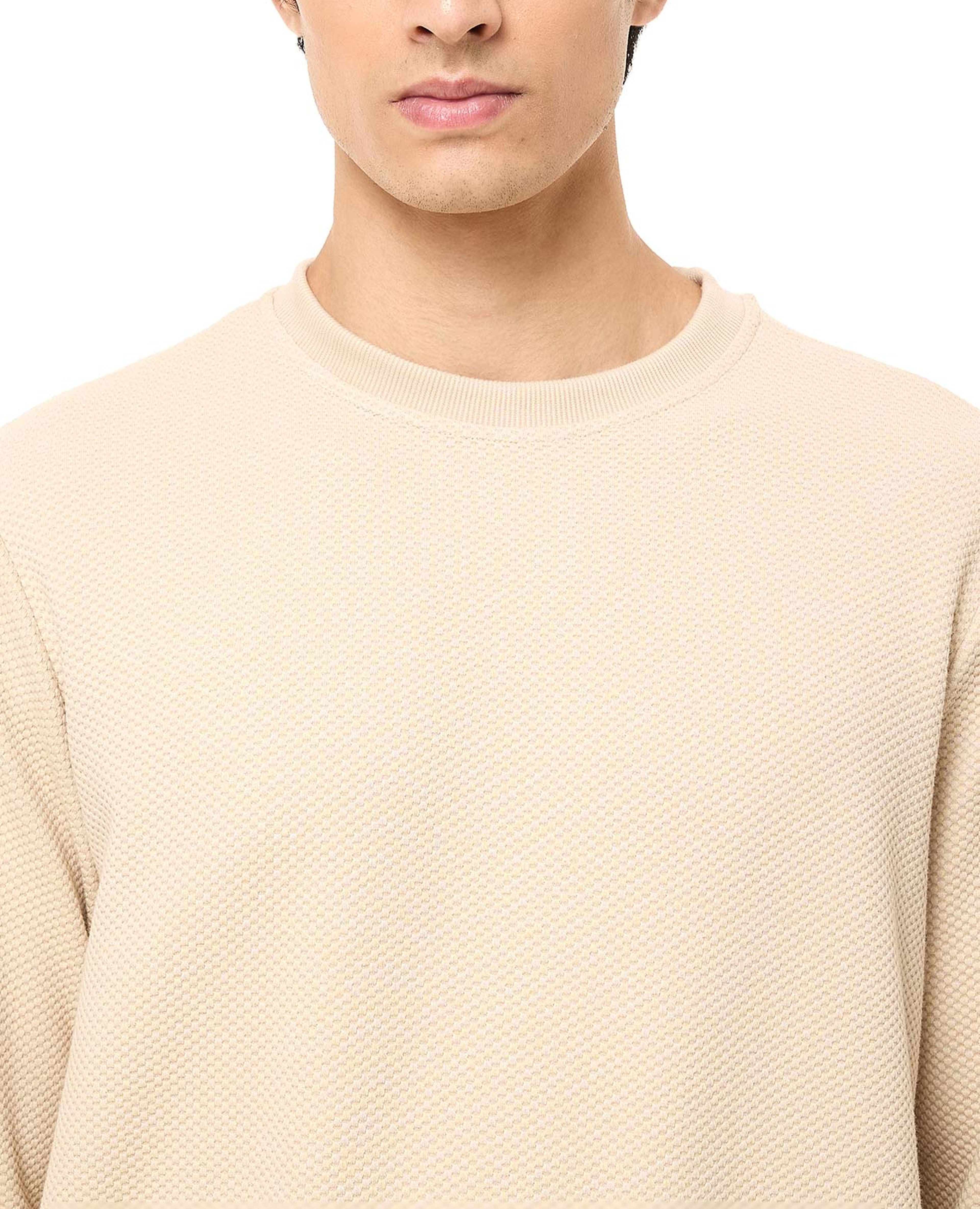 Textured Sweatshirt with Crew Neck and Long Sleeves