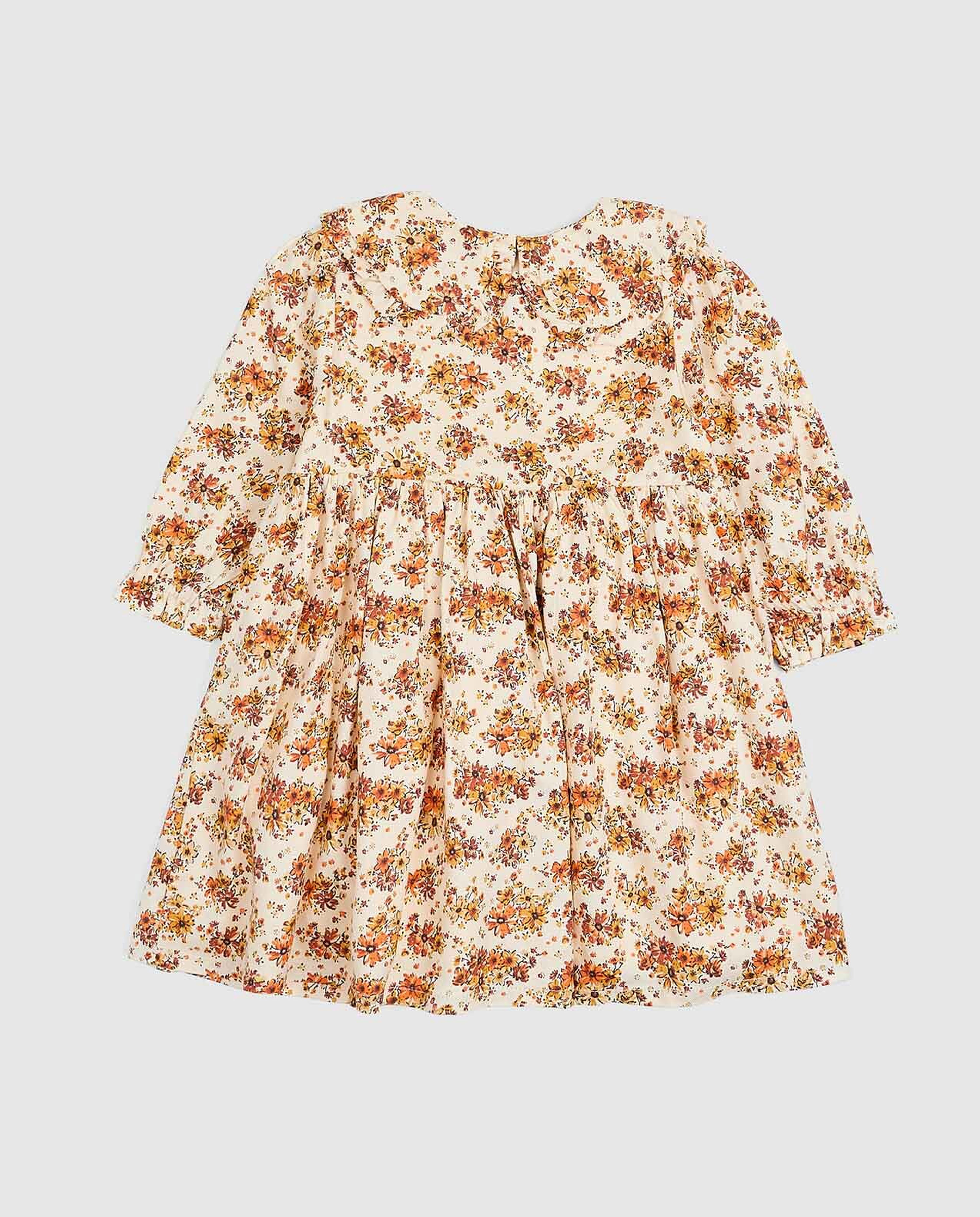 Printed Fit and Flare Dress with Long Sleeves