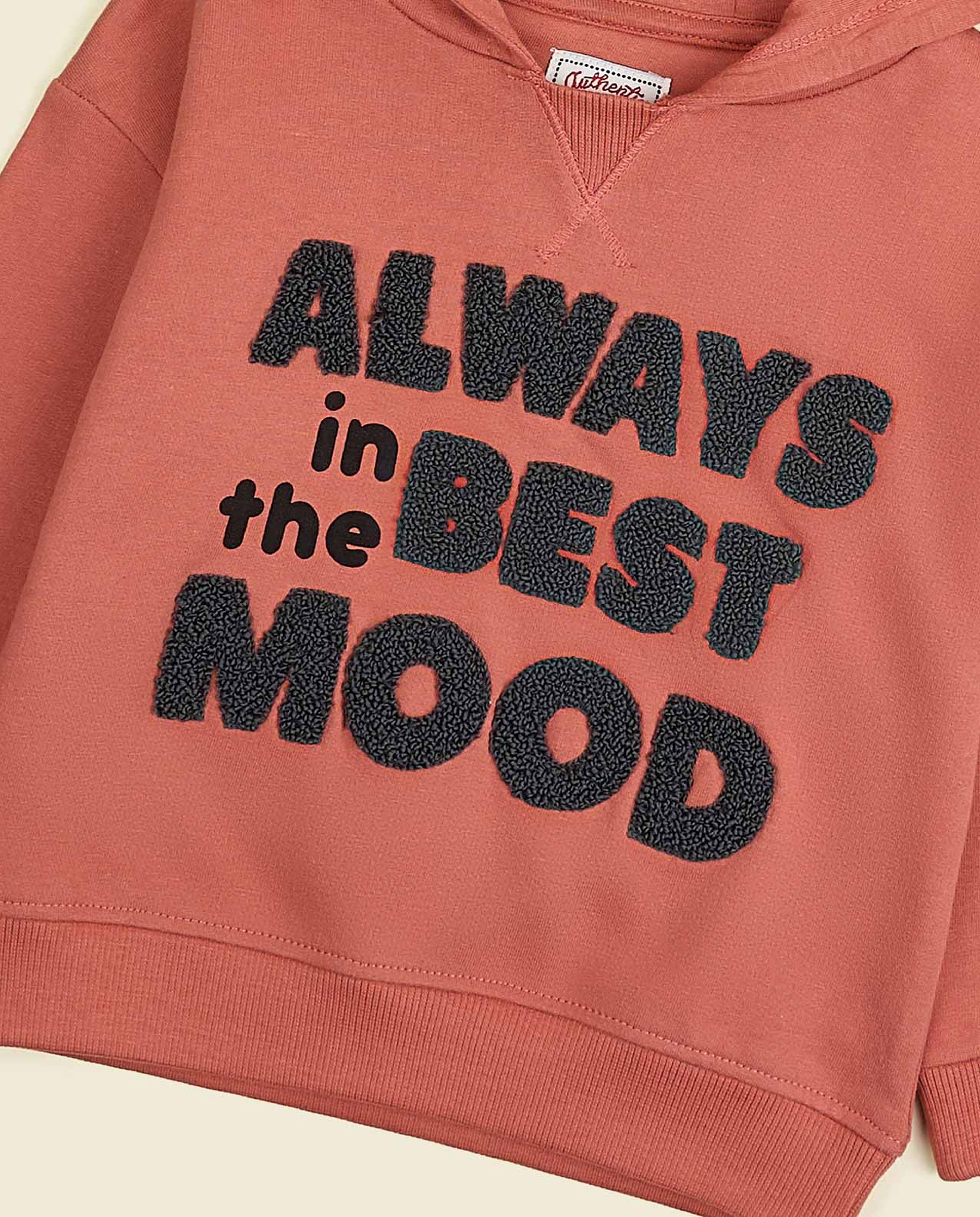 Embroidered Sweatshirt with Crew Neck and Long Sleeves