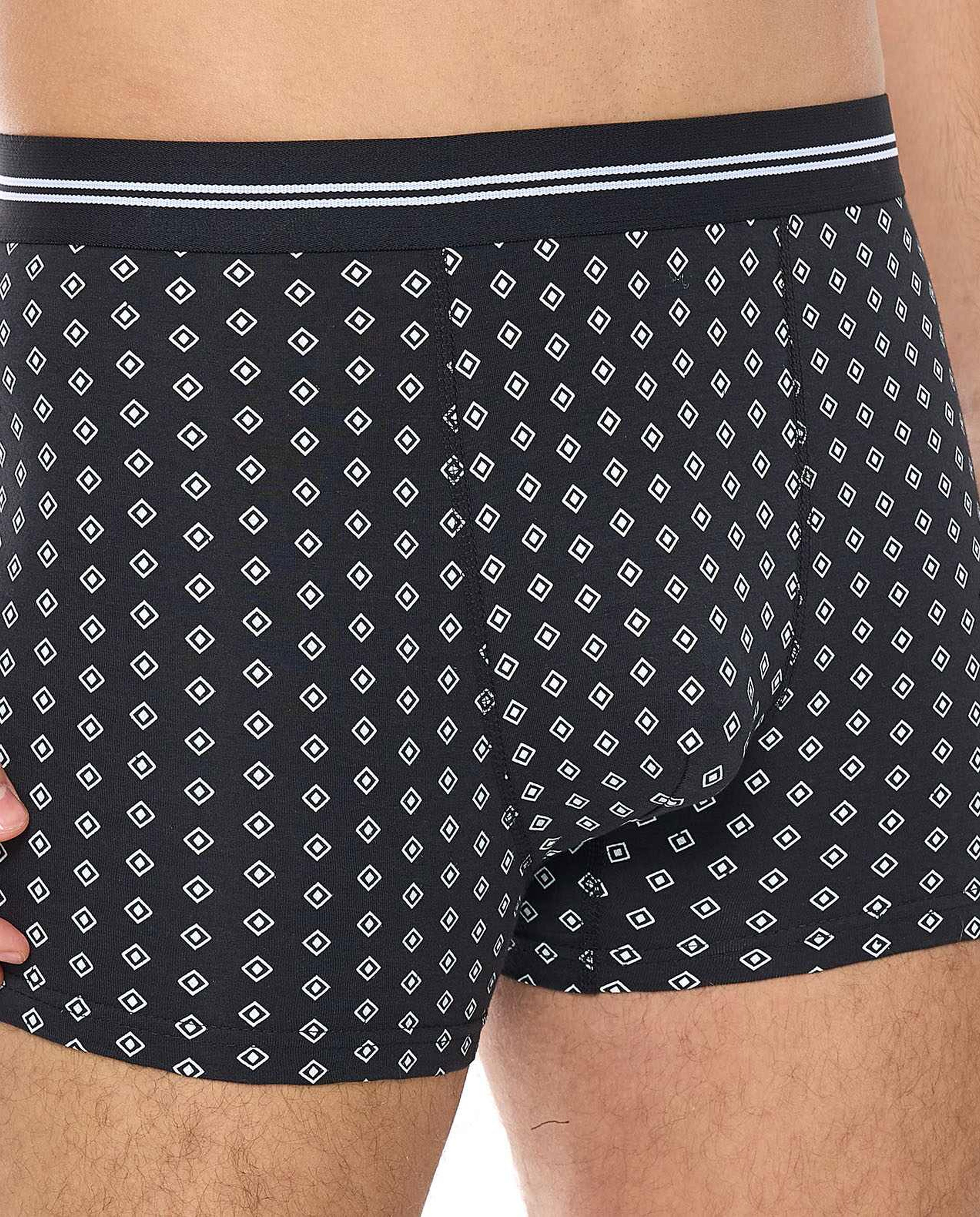 2 Pack Trunks