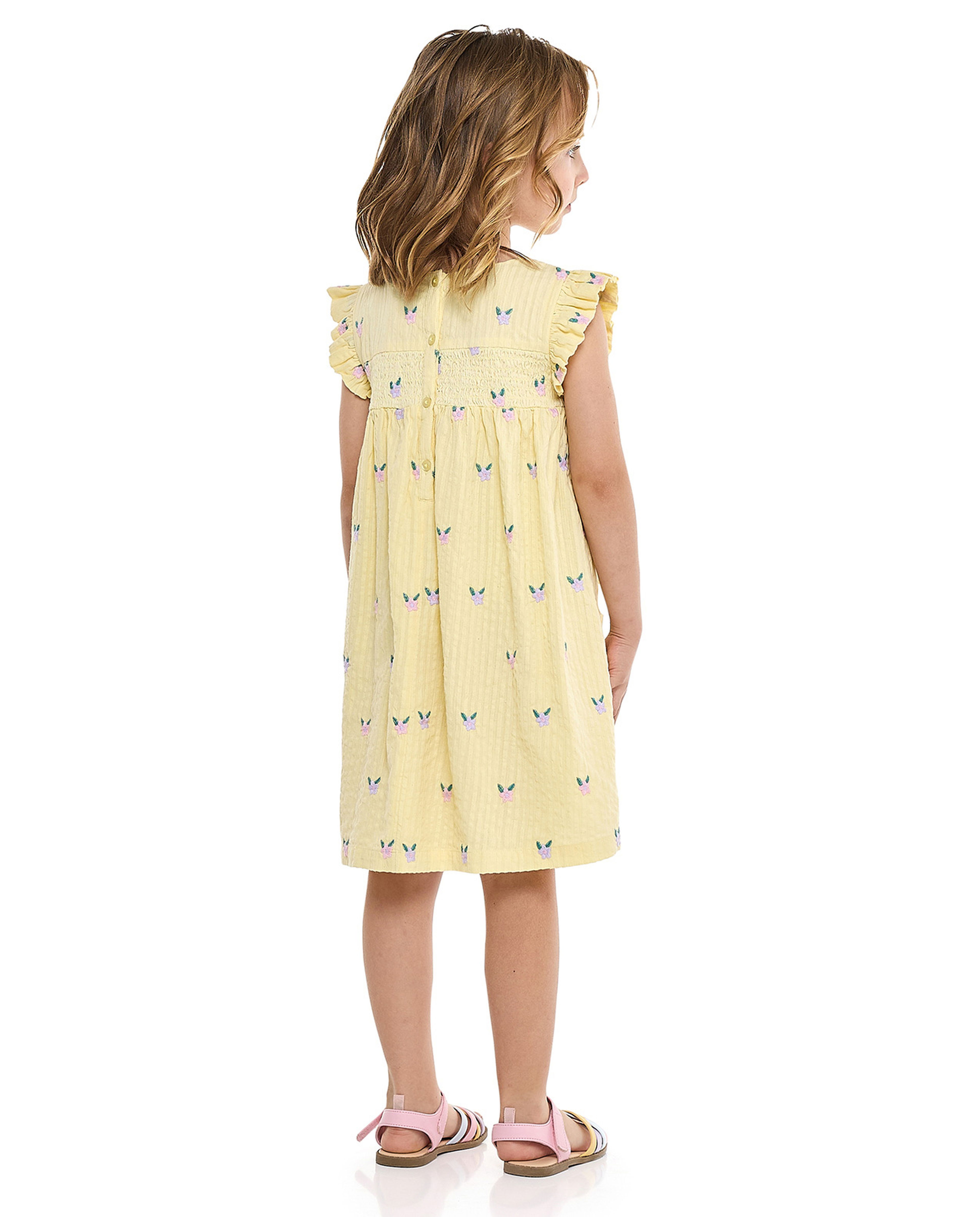 Embroidered Flared Dress with Crew Neck and Flutter Sleeves